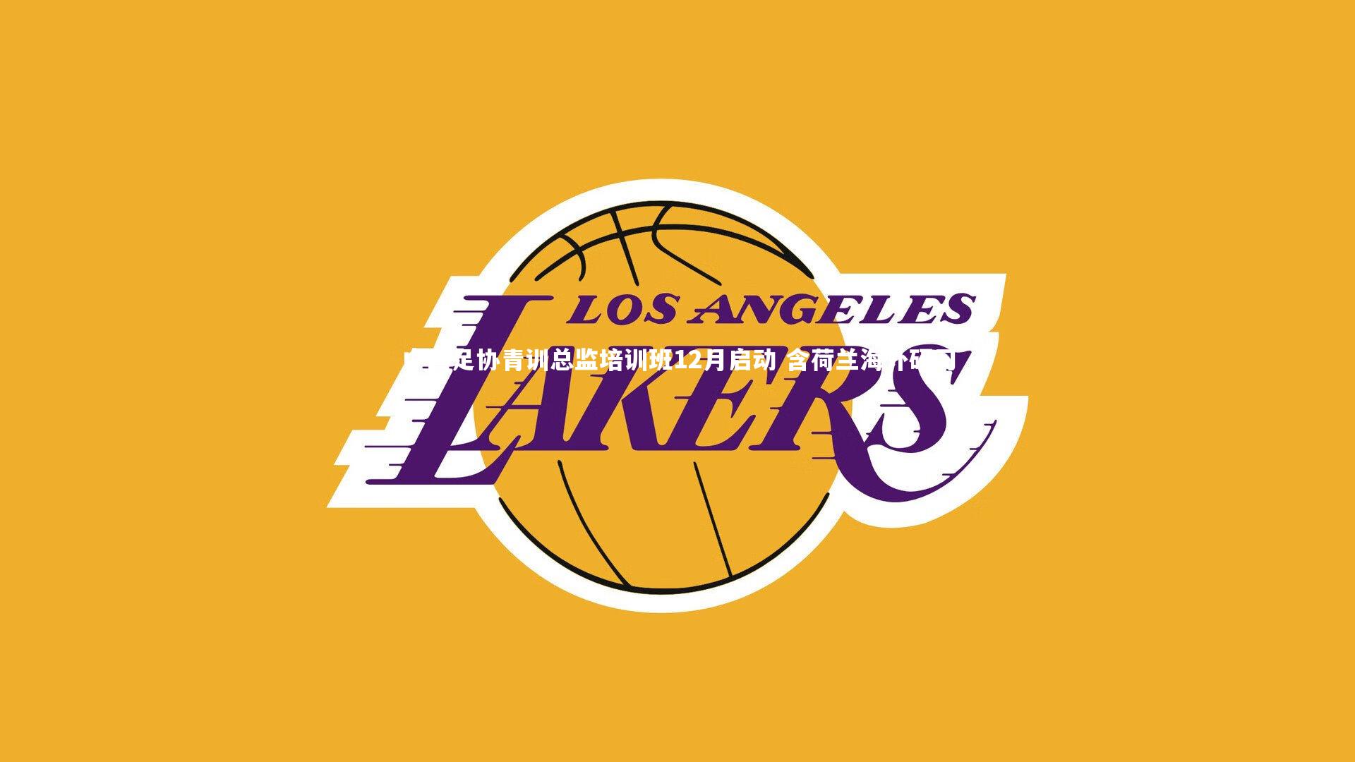 星空：中国足协青训总监培训班12月启动 含荷兰海外研习